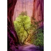 Image de Puzzle 1000 piÃ¨ces : Canyon chantant