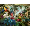 Image de Puzzle 1000 pièces : Diversité des oiseaux Heye-58607