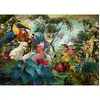 Image de Puzzle 1000 piÃ¨ces : DiversitÃ© des oiseaux