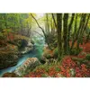 Image de Puzzle 1000 pièces : Forêts magiques, Petit ruisseau Heye-30091