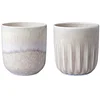 Image de LIKE BY VILLEROY & BOCH Set de 2 tasses Perlemor Sand beige