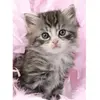 Image de Puzzle 500 pièces - Douceur de chaton Ravensburger-0077
