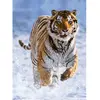 Image de Puzzle 500 pièces : Tigre dans la neige Ravensburger-12000148