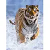 Image de Puzzle 500 piÃ¨ces : Tigre dans la neige