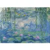 Image de Puzzle 1000 pièces : Les Nymphéas - Claude Monet 12000194