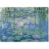 Image de Puzzle 1000 piÃ¨ces : Les NymphÃ©as - Claude Monet