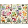 Image de Puzzle 1000 pièces - Affiches de fleurs du jardin