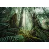 Image de Puzzle 1000 pièces - Nature édition : En forêt
