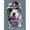 Image de Puzzle 1000 pièces : Théo Jasmin Nathan-12000349