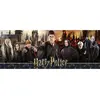 Image de Puzzle 1000 piÃ¨ces panoramique : Harry potter : La guerre des sorciers