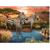 Image de Puzzle 500 pièces : Zèbres au plan d'eau Ravensburger-12000365