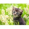 Image de Puzzle 500 pièces : Chaton dans la prairie Ravensburger-12000367