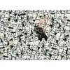 Image de Puzzle 1000 piÃ¨ces : Star Wars