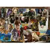 Image de Puzzle 1000 piÃ¨ces : Harry Potter contre Voldemort