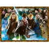 Image de Puzzle 1000 pièces : Harry Potter et les sorciers Ravensburger-12000463