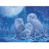 Image de Puzzle Star Line 500 pièces : Chouettes au clair de lune Ravens-12000479