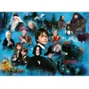 Image de Puzzle 1000 pièces : Le monde magique d'Harry Potter Ravensburger-12000589