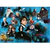Image de Puzzle 1000 piÃ¨ces : Le monde magique d'Harry Potter