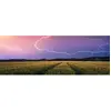 Image de Puzzle 500 pièces - Panorma Nature édition : Orage d'été Ravensburger-12000685