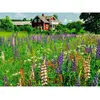 Image de Puzzle 500 piÃ¨ces - Ferme en SuÃ¨de