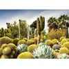 Image de Puzzle 1000 pièces - The Huntington Desert Garden, Californie, USA Ravensburger-12000850