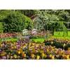 Image de Puzzle 1000 pièces - Jardins de Keukenhof, Pays-Bas Ravensburger-12000851