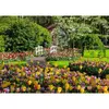 Image de Puzzle 1000 piÃ¨ces - Jardins de Keukenhof, Pays-Bas