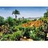 Image de Puzzle 1000 pièces - Jardin botanique, Madère Ravensburger-12000853