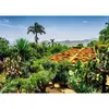 Image de Puzzle 1000 piÃ¨ces - Jardin botanique, MadÃ¨re