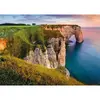 Image de Puzzle 1000 piÃ¨ces : Vue sur les falaises d'Etretat, Des racines et des ailes