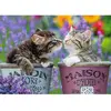 Image de Puzzle 1000 pièces : Bisous de chatons Nathan-12000918