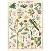 Image de Puzzle 1500 pièces :  Muséum National D'Histoire Naturelle : Les Fleurs