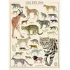 Image de Puzzle 500 pièces : Muséum national d'Histoire naturelle : Les félins Nathan-12000978