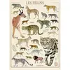 Image de Puzzle 500 piÃ¨ces : MusÃ©um national d'Histoire naturelle : Les fÃ©lins