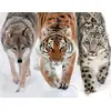 Image de Puzzle 2000 pièces En terre sauvage Nathan - collection Vie Sauvage