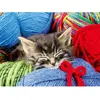 Image de Puzzle 100 pièces XL : Chaton dans la laine Ravensburger-12001363