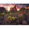 Image de Puzzle 500 piÃ¨ces : Cactus et Ã©pines