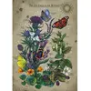 Image de Puzzle 1000 pièces : Le cercle de vie du papillon Ravensburger-12001435