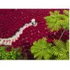 Image de Puzzle 500 pièces : Un océan de rouge Ravensburger-12001707