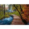 Image de Puzzle 1000 pièces : Chemin boisé d'automne 12001764