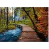 Image de Puzzle 1000 piÃ¨ces : Chemin boisÃ© d'automne