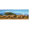 Image de Puzzle 500 pièces panoramique : Troupeau d’éléphants Nathan-12001866