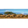 Image de Puzzle 500 piÃ¨ces panoramique : Troupeau d’Ã©lÃ©phants