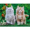 Image de Puzzle 2000 pièces : Chatons Sibériens Nathan-12001868