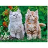 Image de Puzzle 2000 piÃ¨ces : Chatons SibÃ©riens