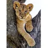 Image de Puzzle 1000 pièces : Lionceau du désert Nathan-12001884