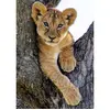 Image de Puzzle 1000 piÃ¨ces : Lionceau du dÃ©sert