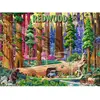Image de Puzzle 500 pièces : Parc National de Redwood 12001889