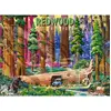 Image de Puzzle 500 piÃ¨ces : Parc National de Redwood