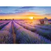 Image de Puzzle 500 pièces : Route de la lavande, Valensole - Collection Régions de France Nathan-12002002